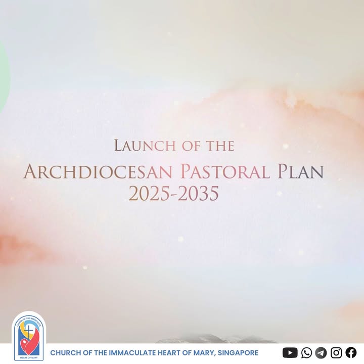 542750624 1179616817535785 5480152511451707814 n