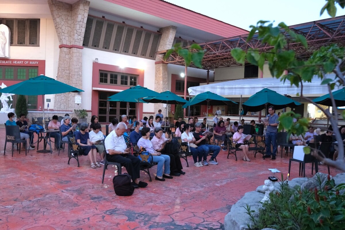 b3b5d6b6 282d 48bb 8188 6fd6d967d433